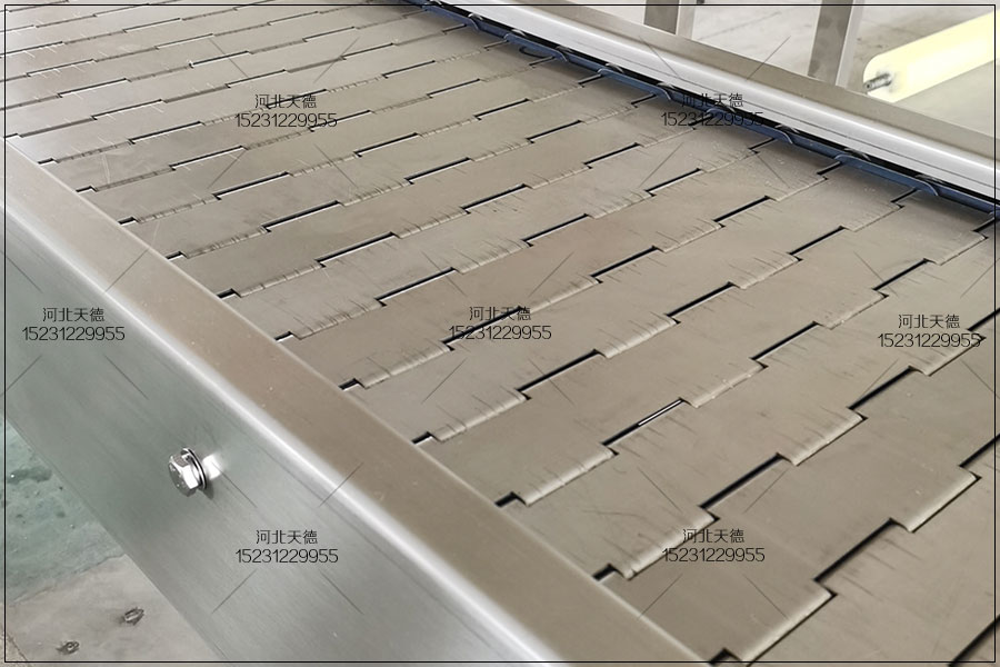 鏈板輸送機(jī)